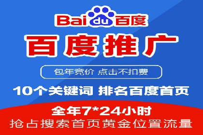 百度推广中的创意策略：成功案例解析与启示